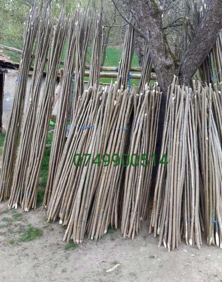 Vând pari de fasole și de roșii