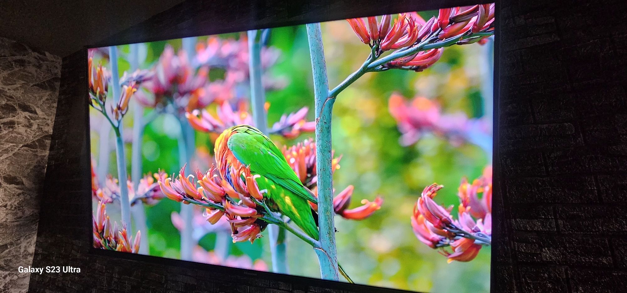 Телевизор Hisense 43A7KQ