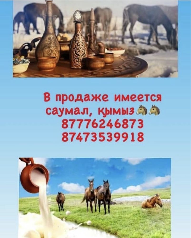 Продаем қымыз !!!