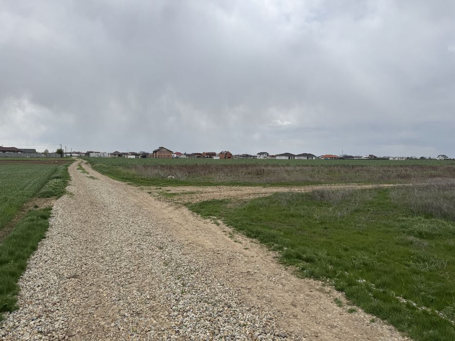 Parcela intravilan Livada de Bihor