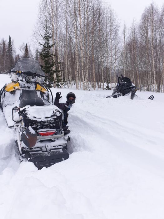 Снегоход brp ski-doo skandic 600
