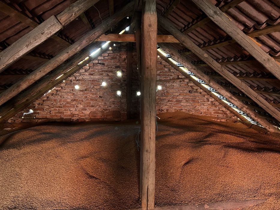 Grau toamna de samanta C2