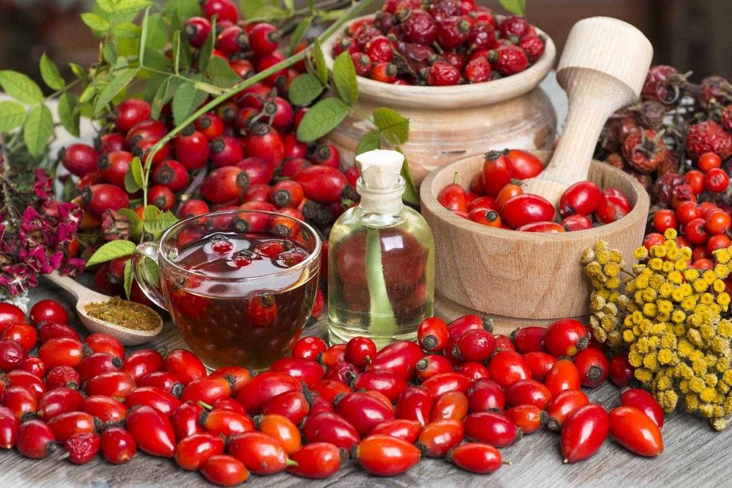 Ghinde de stejar castane comestibile si salbatice fructe maces paducel