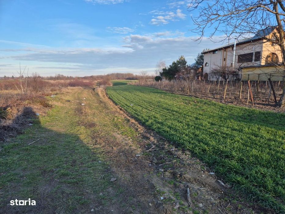 Vand teren in Tandava cu deschidere la PADURE (Gradinari, Giurgiu)