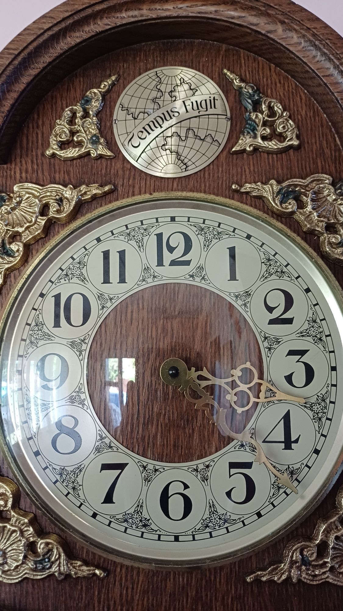 Ceas cu Pendul ..Tempus Fugit.