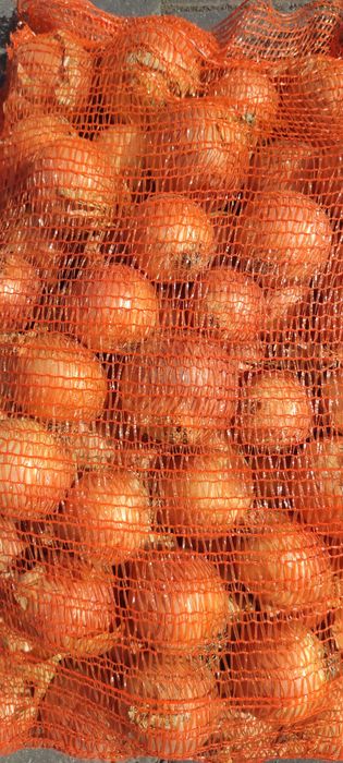 Ceapa galbena rotunda