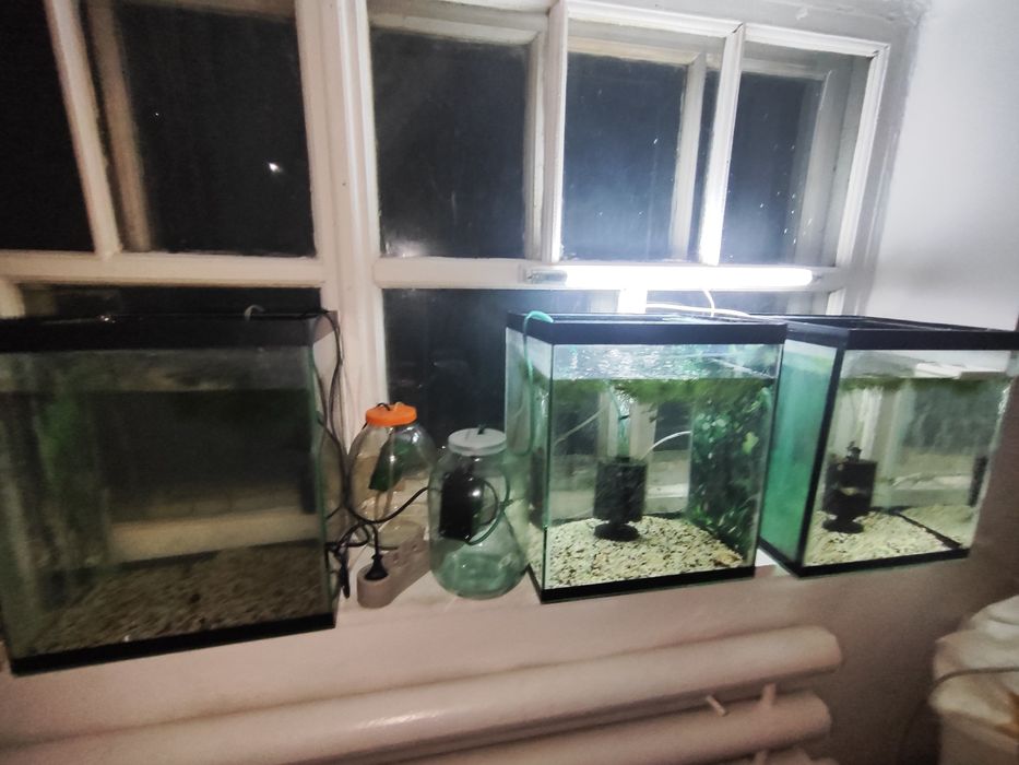 Аквариум 40 литров