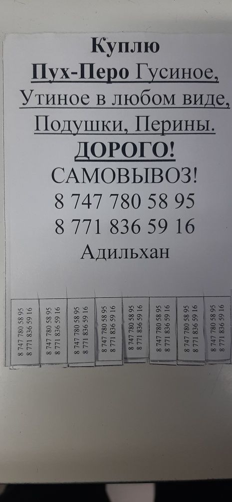 Приму подушки перины,приму гусинное утиные перья
