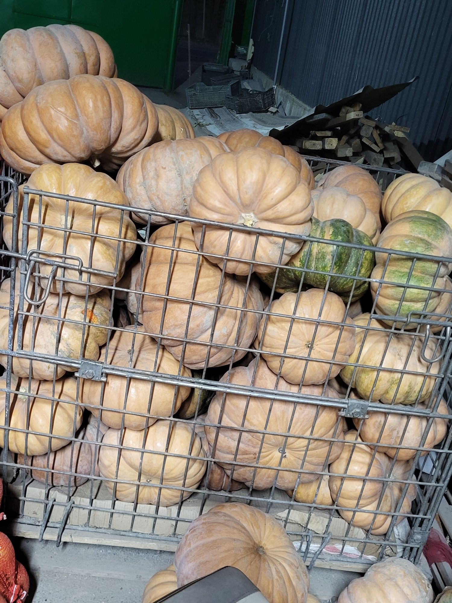 Продам ТЫКВУ разную