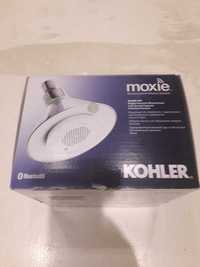 Para dus KOHLER Moxie Bluetooth cu muzica pret germania 120euro