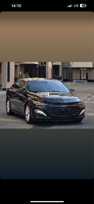 Malibu XL maslo sotiladi