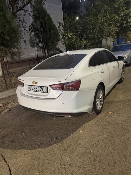 Malibu 2 primer qlngan