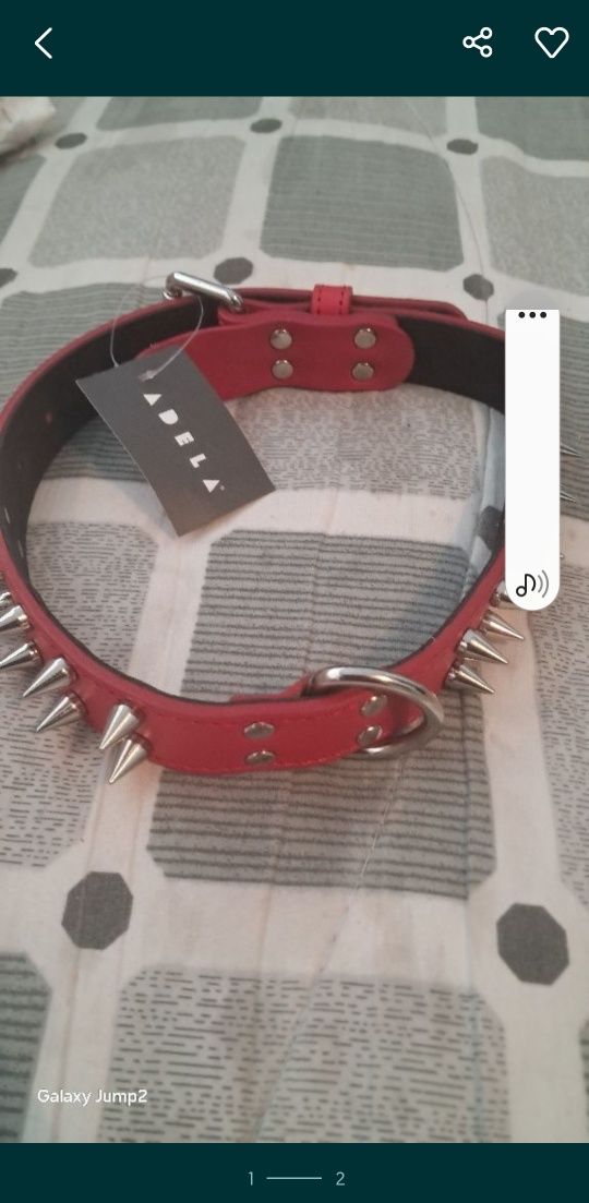 Собака ошейник с шипами 56см продаётся кожаный