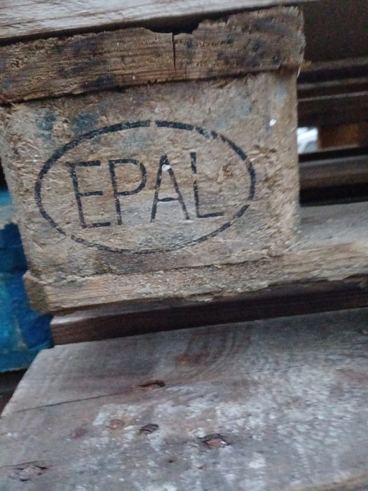 Евро палета 50 броя