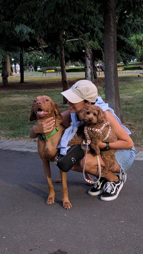 Разхождане на кучета по заявка