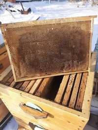 Сушь, рамки для пчёл