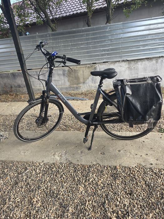 Bicicleta. Stela
