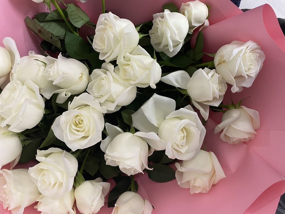 шикарный букет из белых роз