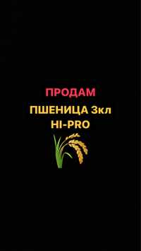 Пшеница HI PRO