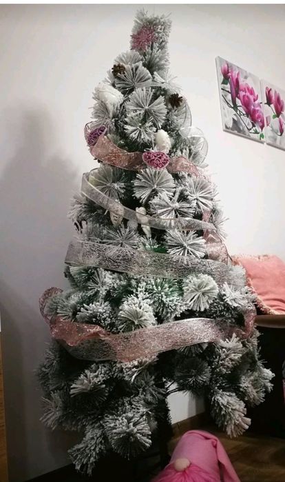 Елха височина 150 см