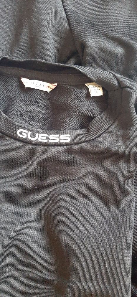 Trening Guess,fetite