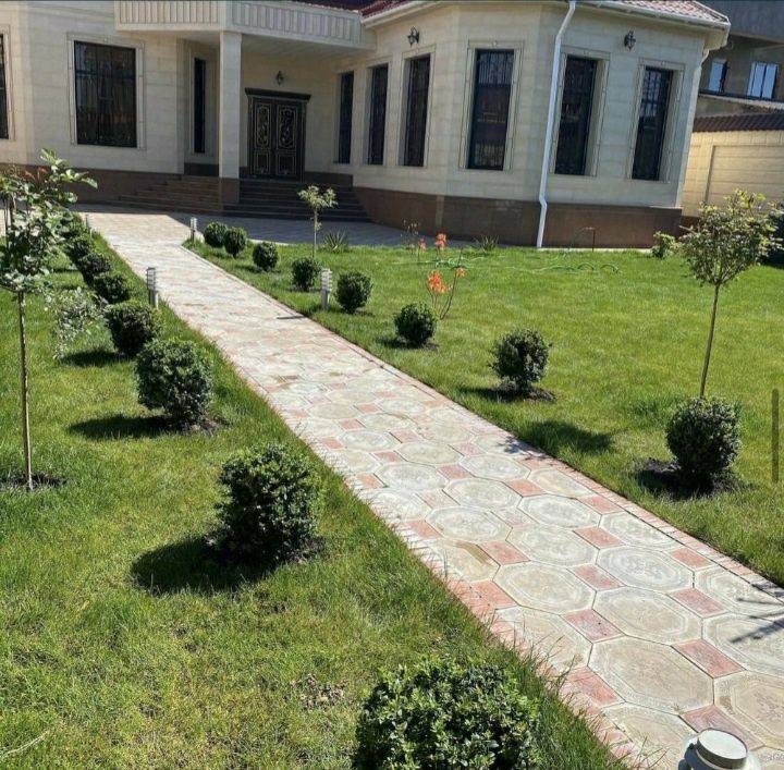 Газон автополив 500тг