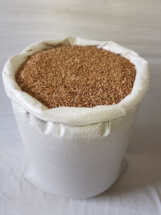 Продам пшеницу, мешками 1 мешок 4000тг