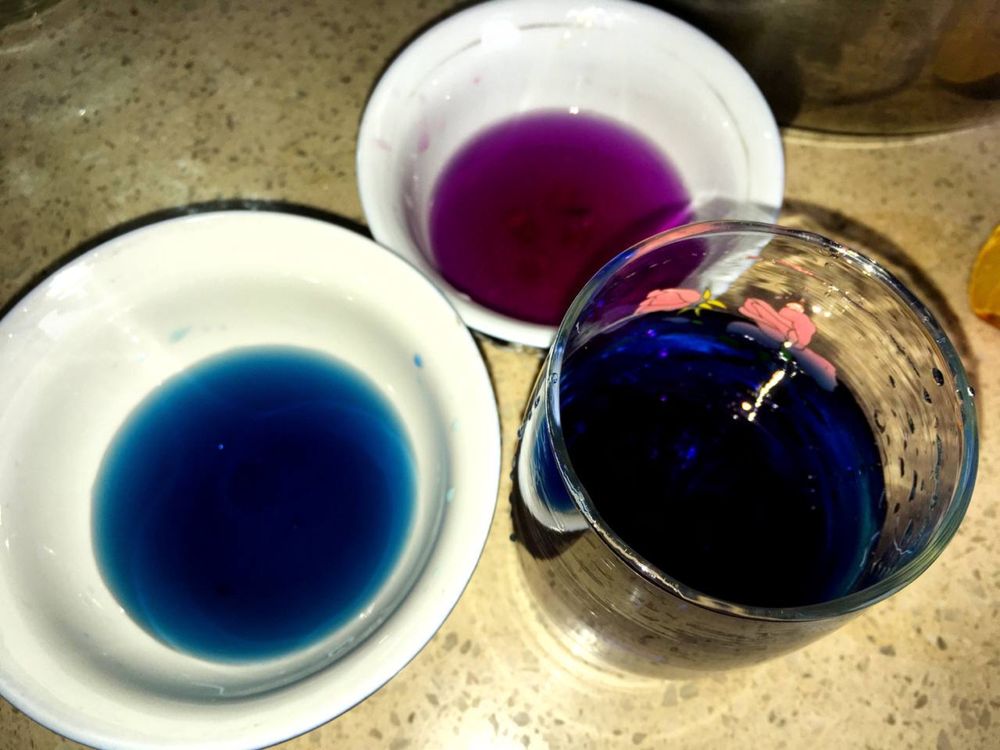 синий чай анчан «клитория тройчатая»