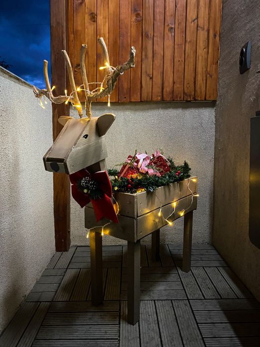 Коледен елен, докарация за коледната градина - Живият двор