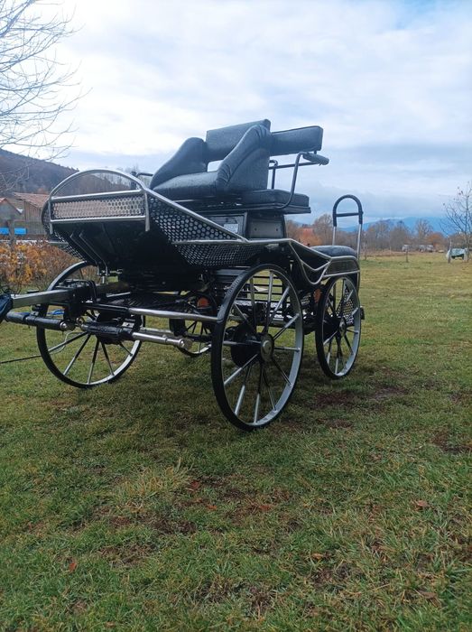 Trasura Maraton Germania