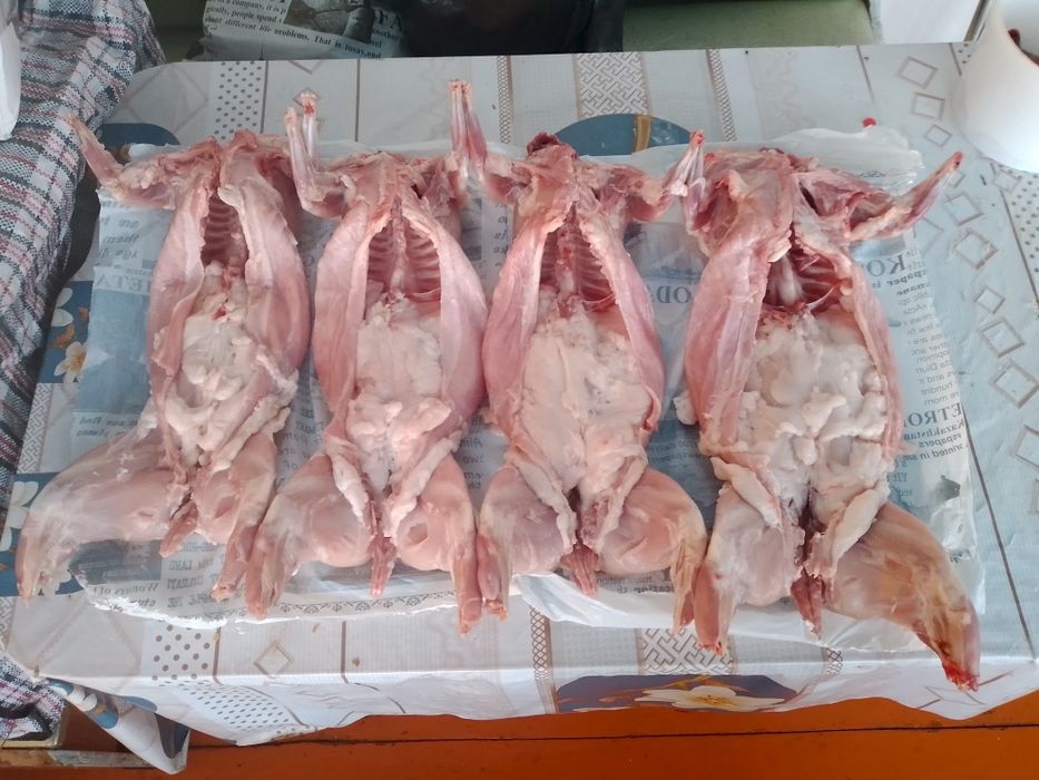 Продам кроликов жирных