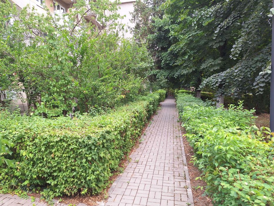 Apartament parter 3 camere decomandat - Traian - str Grigore Procopiu