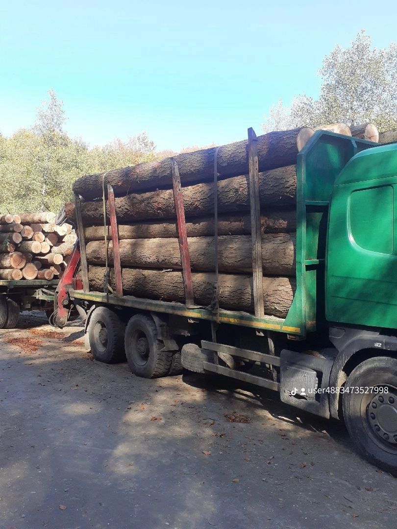 Camion forestier Scania 6×4