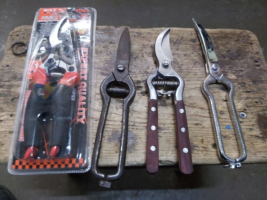 Foarfeci vie pomi  flori de colecție