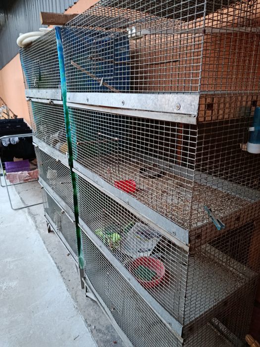 Клетка ССР сетка