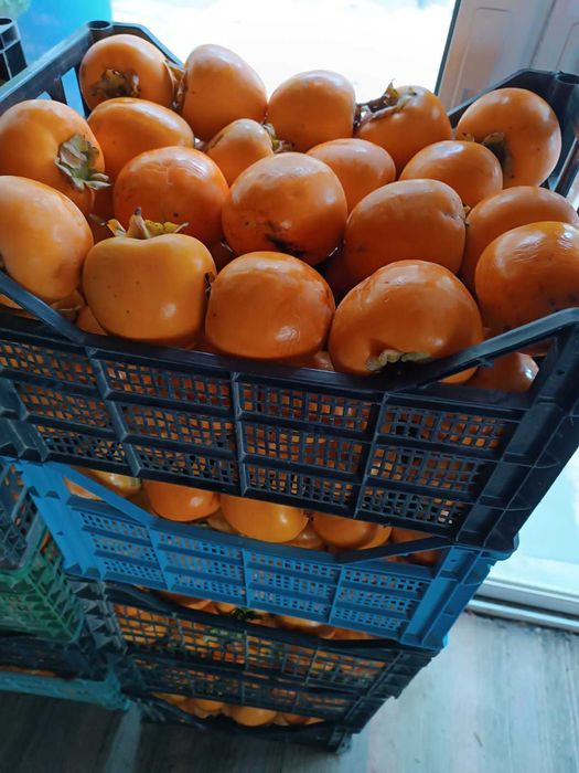 Плодове райски ябълки.