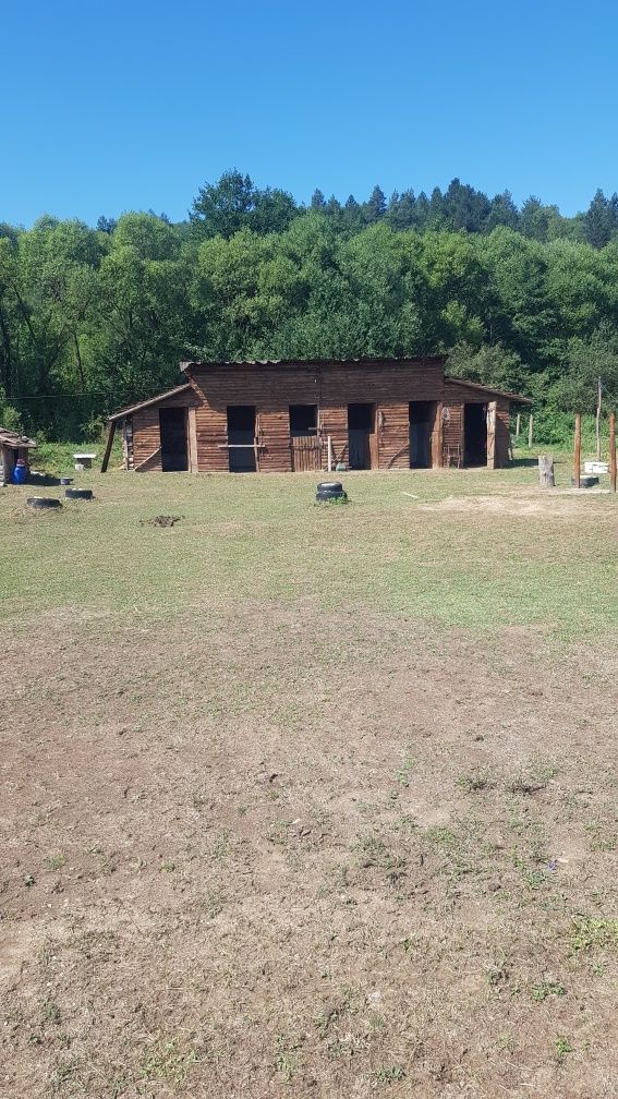Продава се Хотел в с. Раненци, Област Кюстендил - 13000 кв.м за 13 €/кв.м - Снимка #4