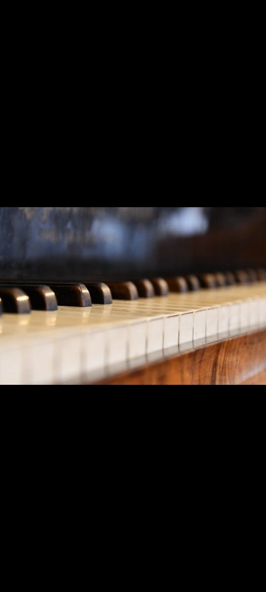Lecții Pian, Canto, Teoria muzicii