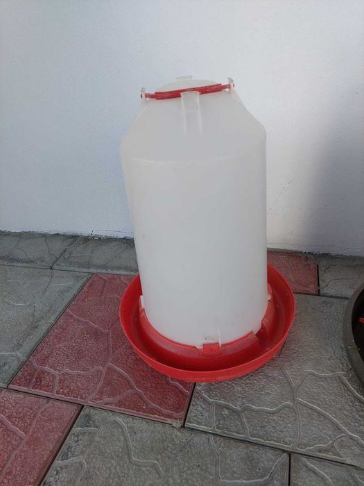 Adapatoare pasari de curte