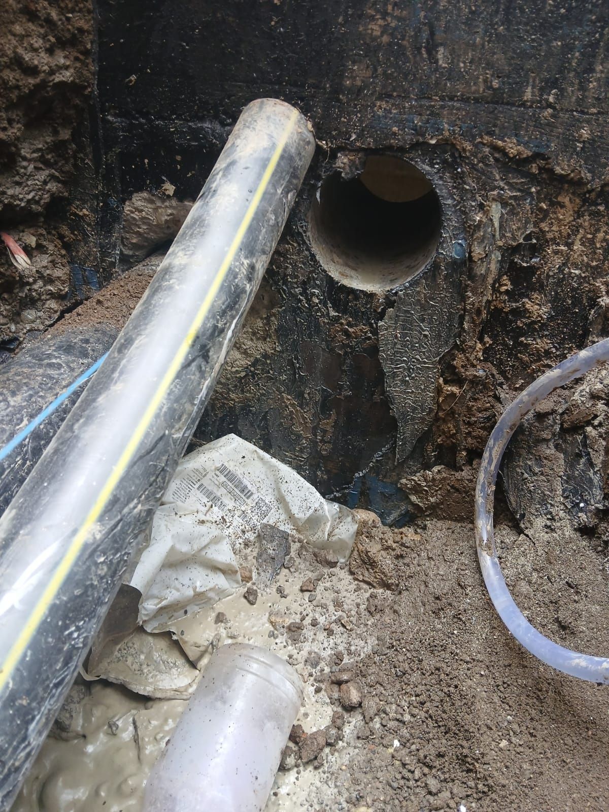 Gaura hota, centrala, clima în beton