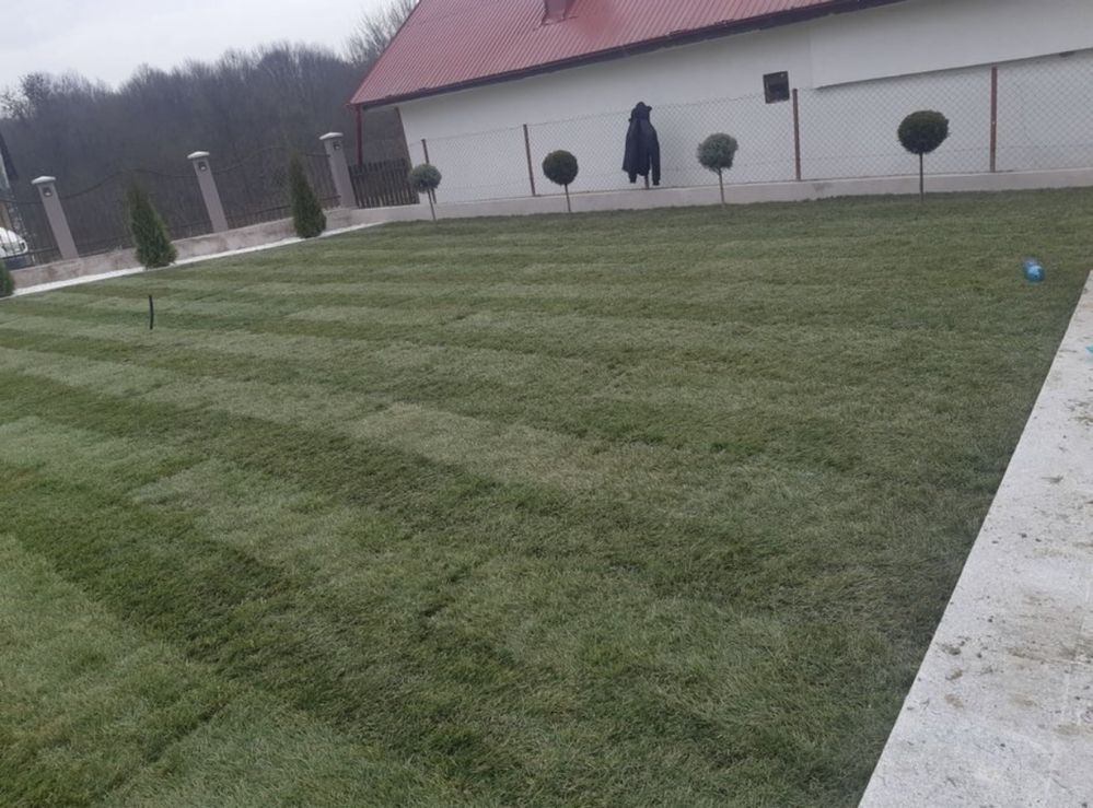 Vand si montez gazon rulou