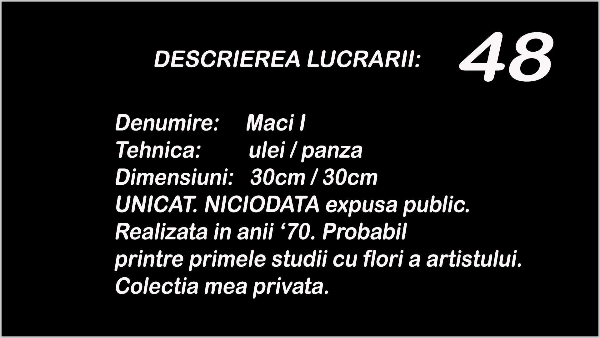 pictura ulei pe panza Unicat DAN Aurel, flori de mac, anii 70