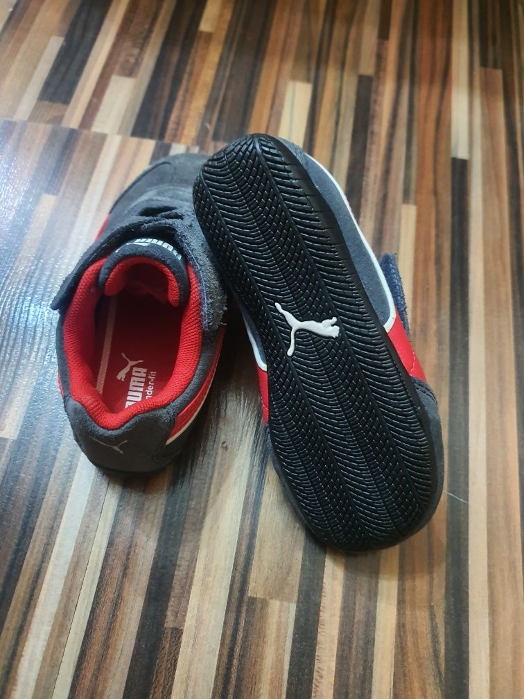 Puma           .