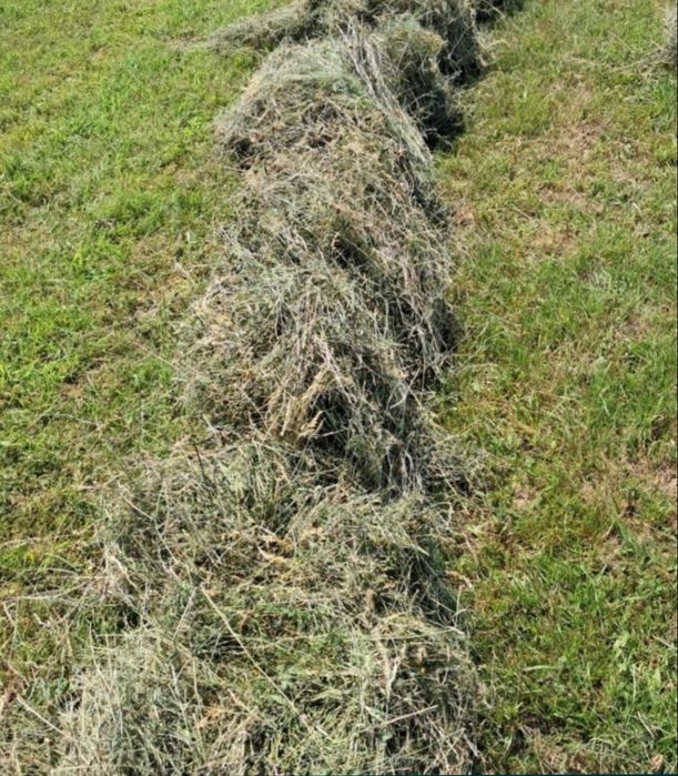 Baloți fân de gradina