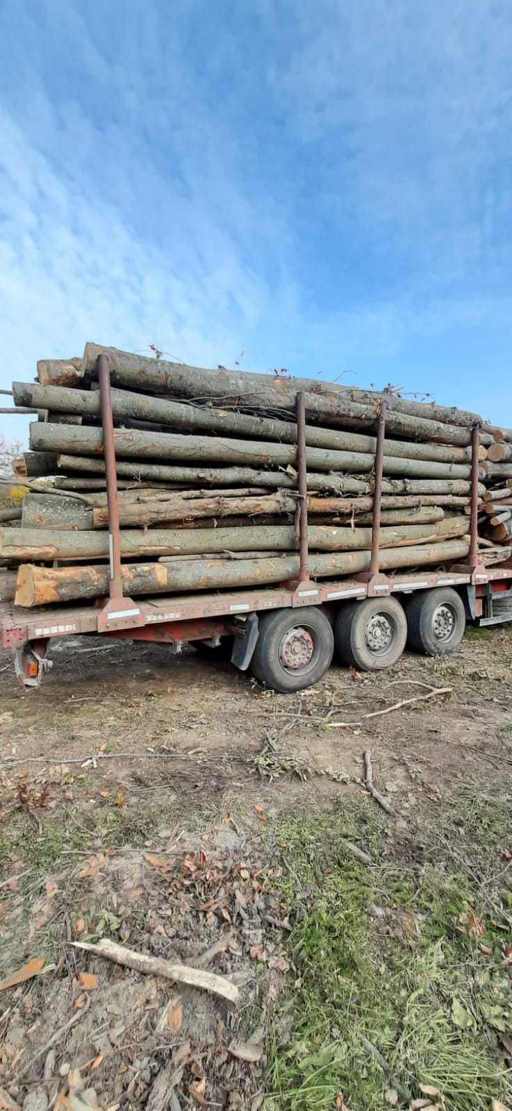 Vand Lemne de foc cu posibilitatea de plata prin cardul de energie