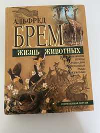 Книга про животных