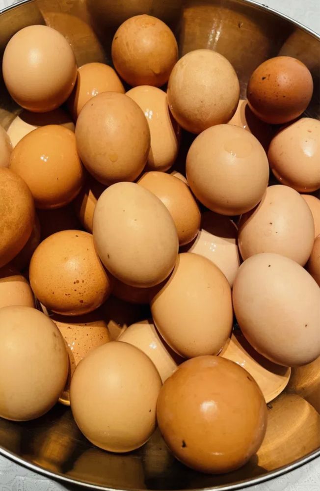 Ouă proaspete bio, Asigur transport
