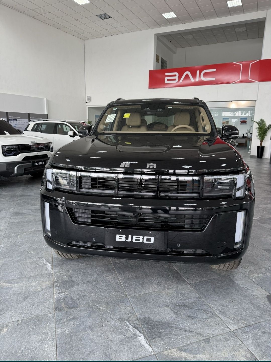 Baic BJ 60 gibrid