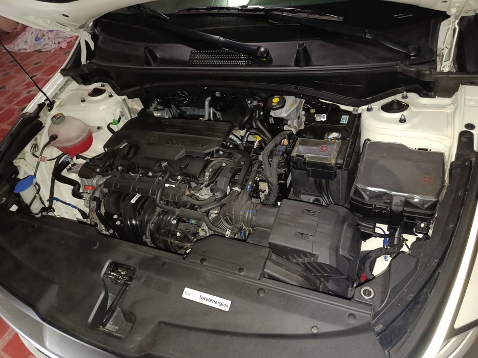 Панорамалик спортейж