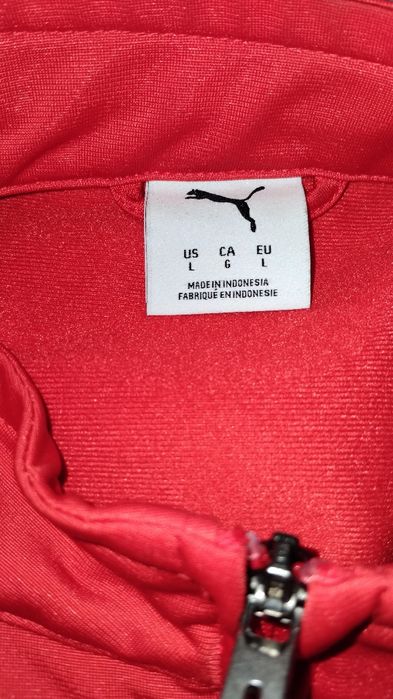 Trening Puma Team Rise FZ rosu L